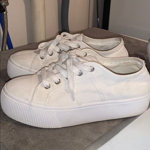 8.5 Steve Madden Emmi  platform sneaker